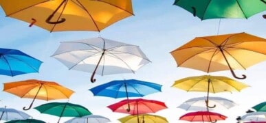 Umbrella Companies