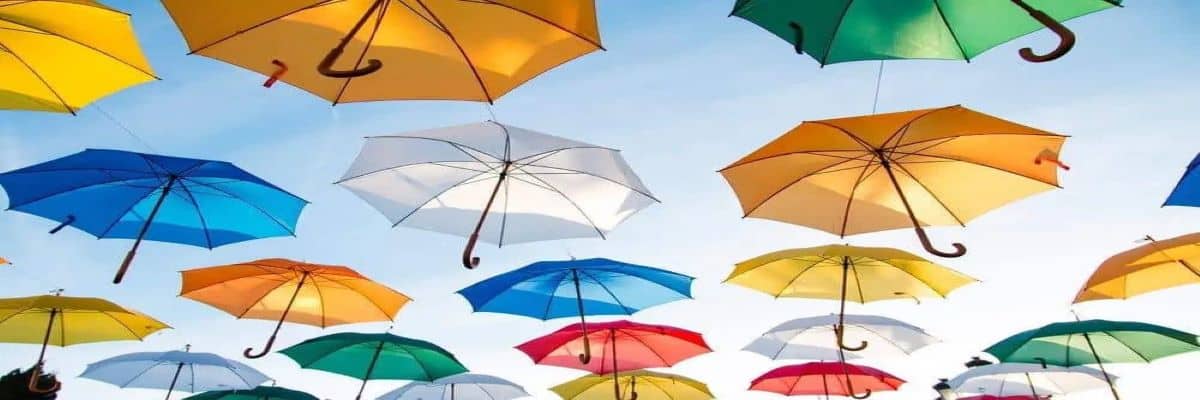 The Ultimate Guide to Umbrella Companies for Contractors